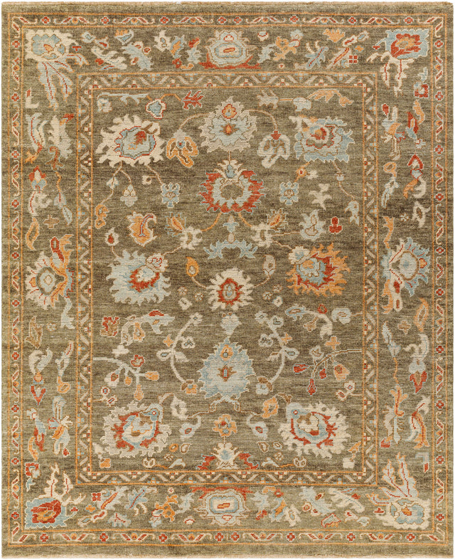Surya Reign Reg-2317 Brown Rug.