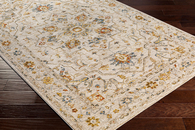 Surya Reina Ren-2303 Light Gray, Medium Gray, Cream, Light Brown Rugs.