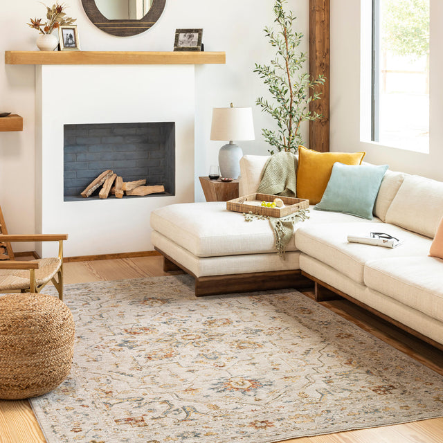 Surya Reina Ren-2303 Light Gray, Medium Gray, Cream, Light Brown Rugs.