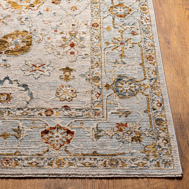 Surya Reina Ren-2309 Light Gray, Cream, Denim, Rust Rugs.