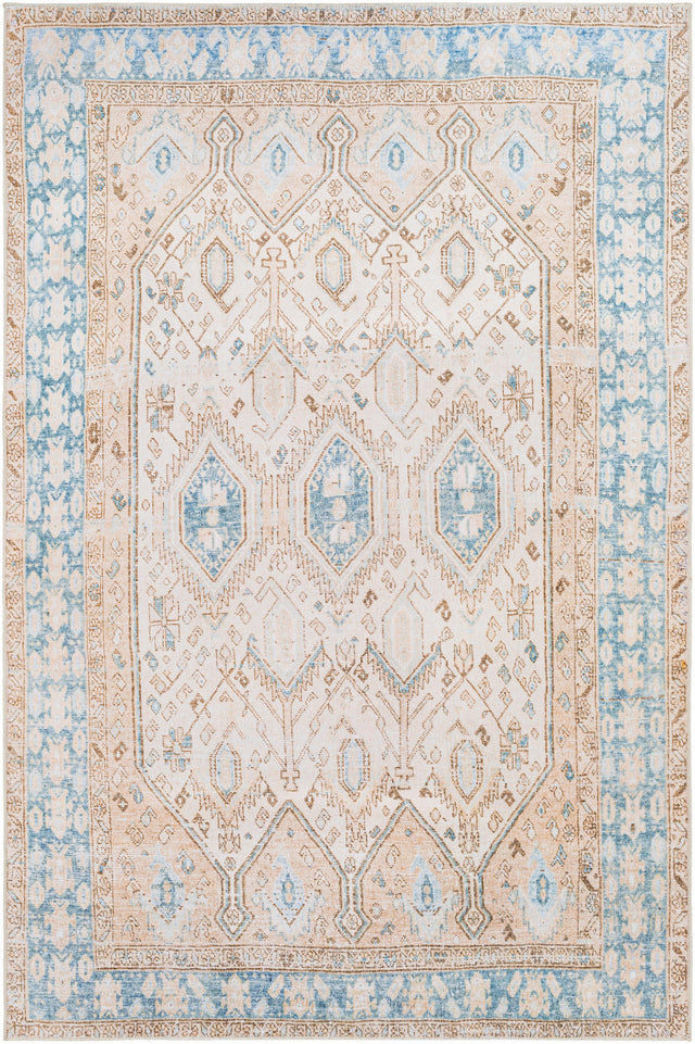 Surya Regen Rge-2304 Brown Rugs.