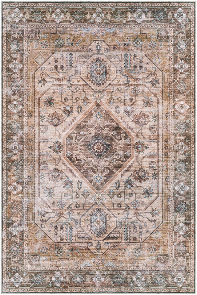Surya Regen Rge-2310 Orange Rugs.