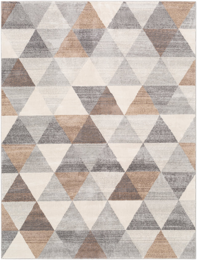 Surya Roma Rom-2303 Medium Gray, Camel, Tan, Light Gray Rugs.