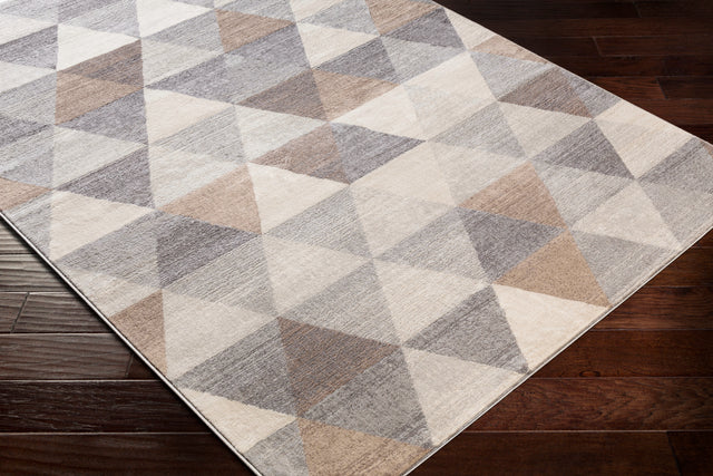 Surya Roma Rom-2303 Medium Gray, Camel, Tan, Light Gray Rugs.