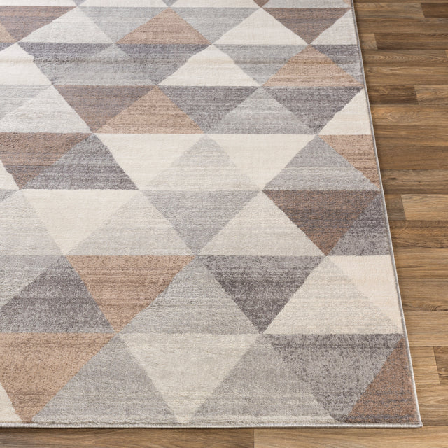 Surya Roma Rom-2303 Medium Gray, Camel, Tan, Light Gray Rugs.