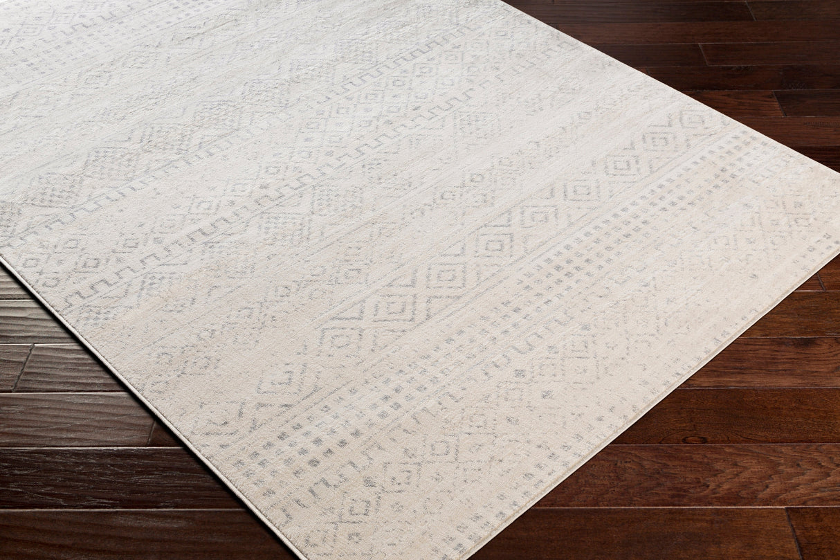Surya Roma Rom-2341 Medium Gray, Light Gray, White Rugs.