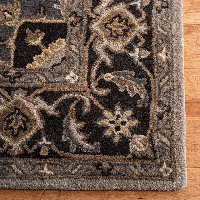 Safavieh Royalty Roy700G Silver / Charcoal Rugs.