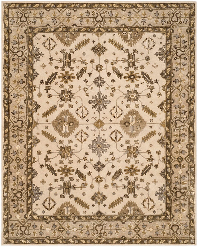 Safavieh Royalty Roy870A Cream / Light Grey Rugs.