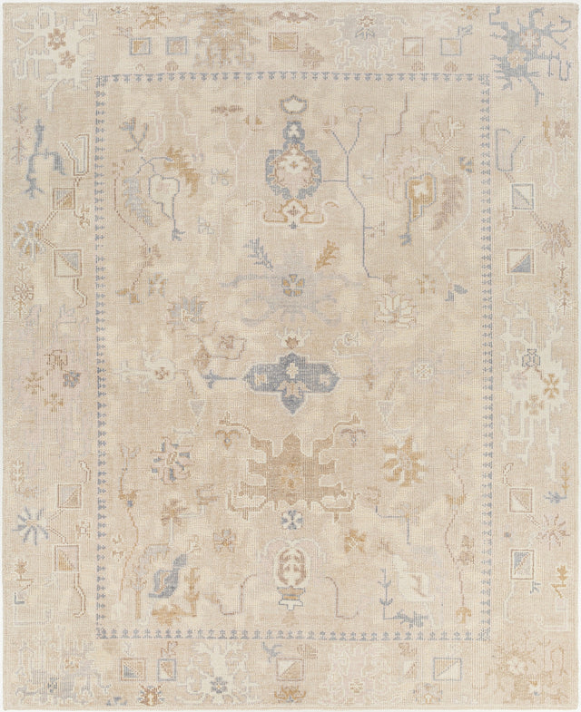 Surya Revere Rve-2309 Brown Rug.