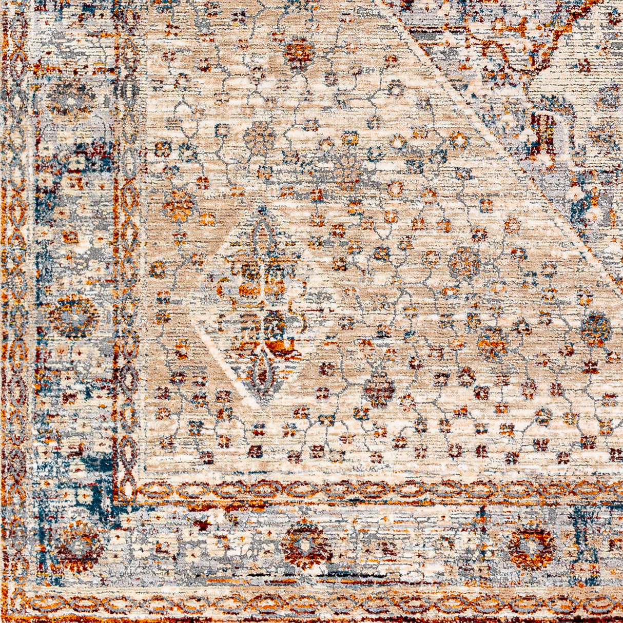 Surya Arya Rya-2305 Medium Gray, Blue Rug.