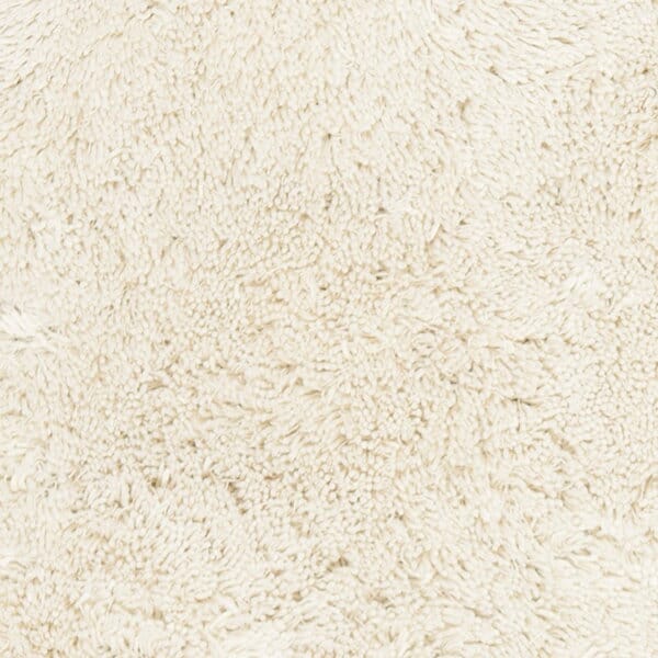 Safavieh Shag sg240v Ivory Rugs.