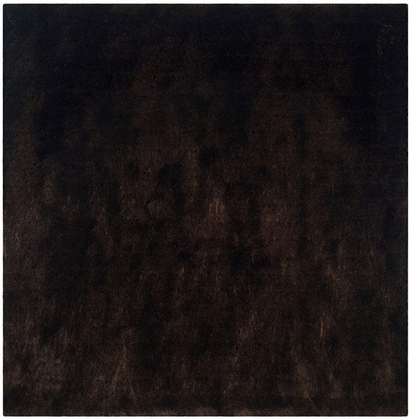 Safavieh Paris Shag Sg511-2727 Chocolate Rugs.