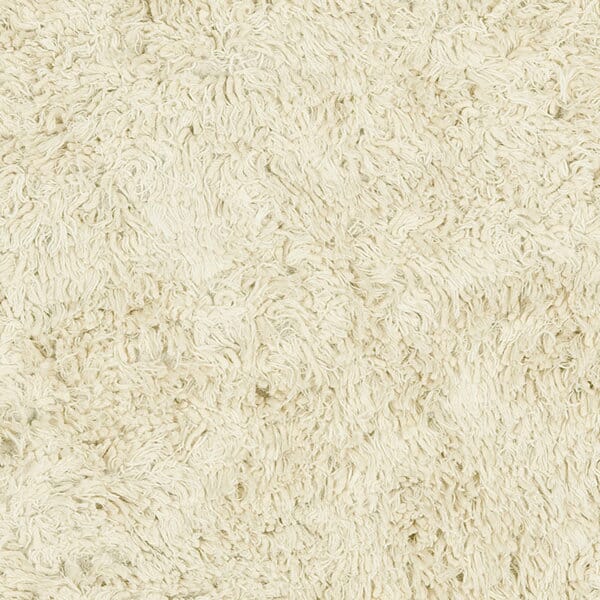 Safavieh Shag Sg731A Ivory Rugs.