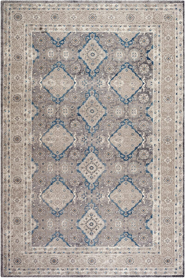 Safavieh Sofia Sof366B Light Grey / Beige Rugs.