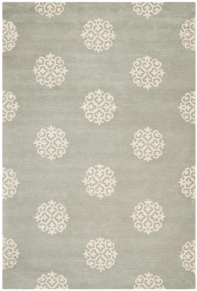 Safavieh Soho Soh724C Grey / Ivory Rugs.