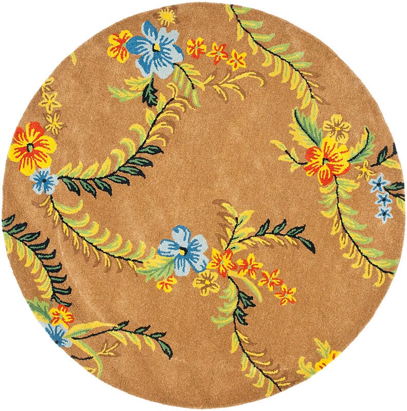 Safavieh Soho Soh734A Brown / Multi Rugs.