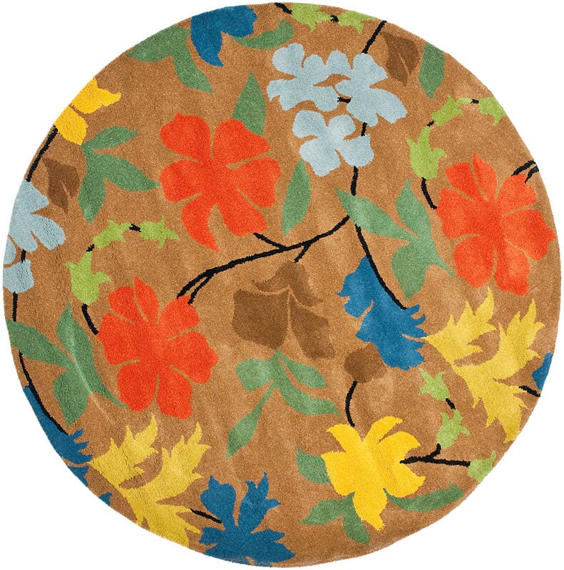 Safavieh Soho Soh737A Brown / Multi Rugs.