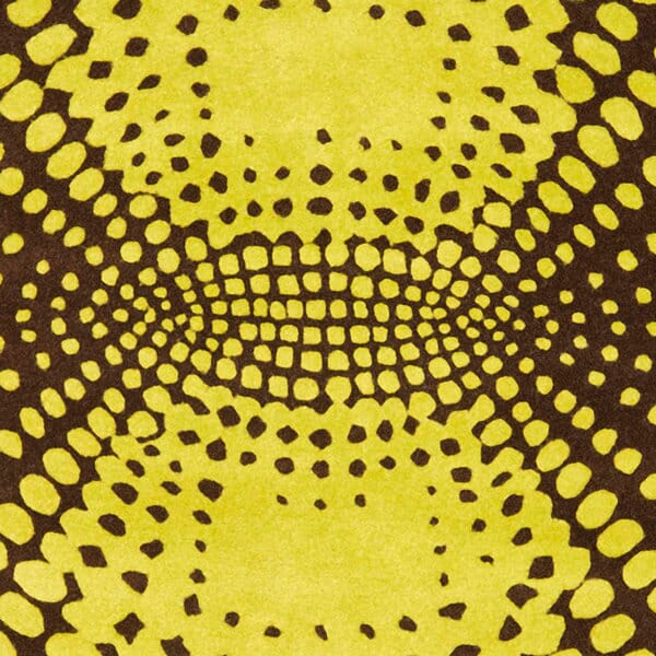 Safavieh Soho Soh769B Brown / Green Rugs.