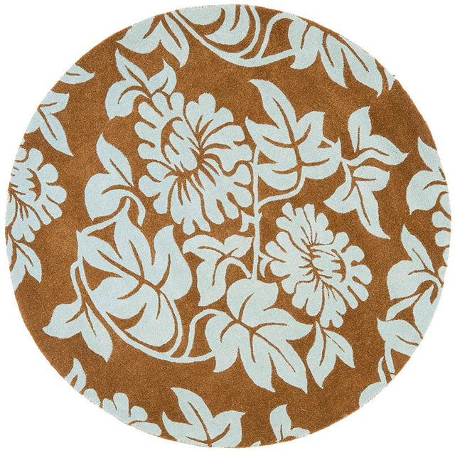 Safavieh Soho Soh770B Light Brown / Blue Rugs.