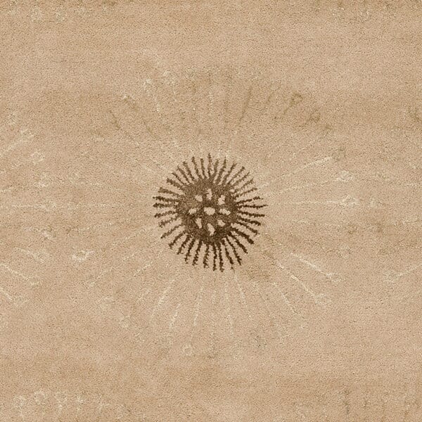 Safavieh Soho soh821a Beige / Brown Rugs.