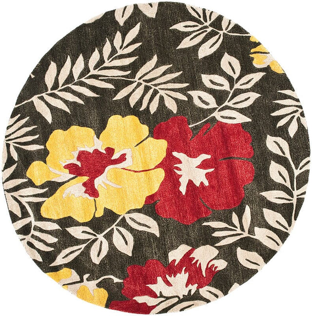 Safavieh Soho Soh838A Brown / Multi Rugs.