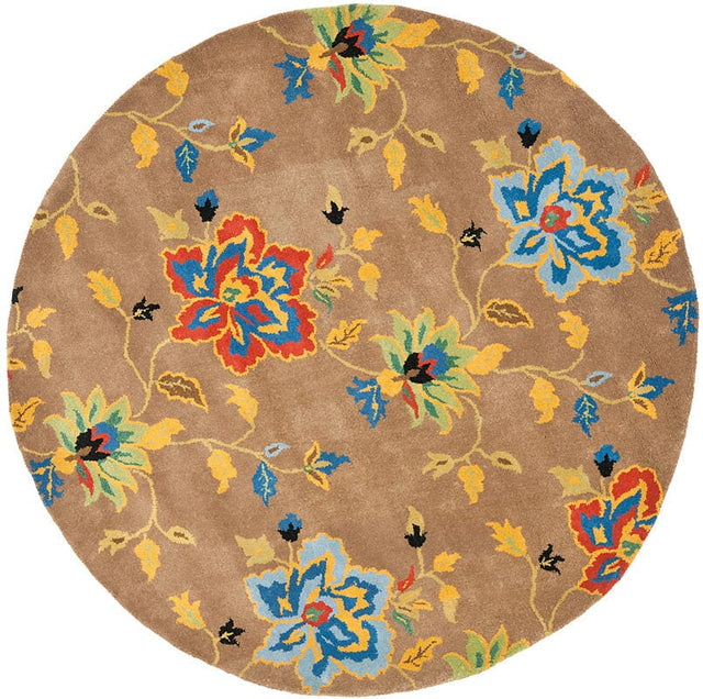 Safavieh Soho Soh847A Brown / Multi Rugs.