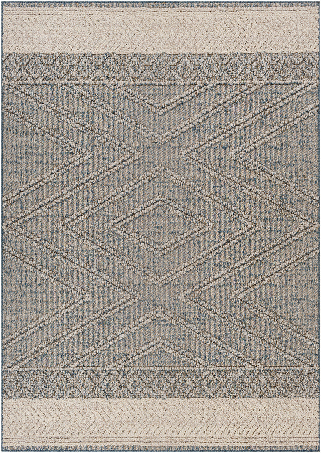 Surya Sarasota Sso-2305 Blue, Taupe Rug.