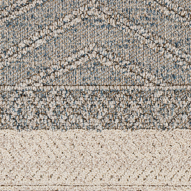 Surya Sarasota Sso-2305 Blue, Taupe Rug.