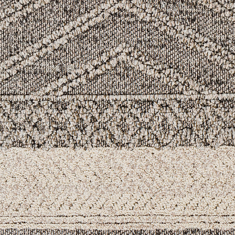 Surya Sarasota Sso-2309 Tan, Black Rug.