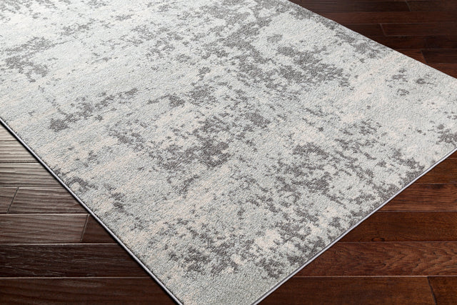Surya Sunderland Sun-2318 Charcoal, Gray Rug.