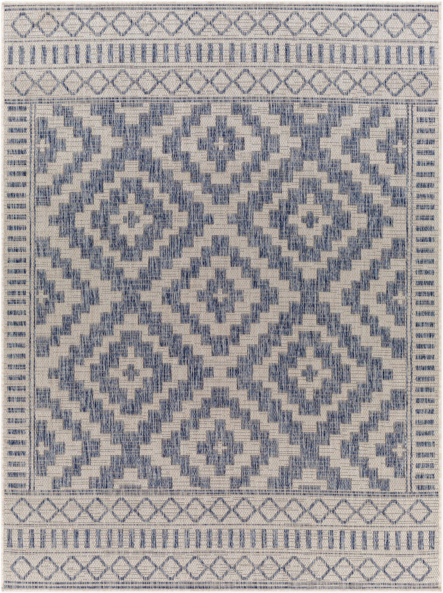 Surya Tuareg Trg-2352 Gray Rugs.