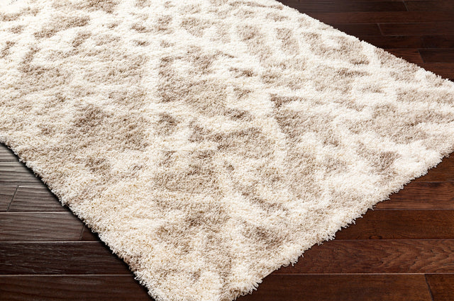 Surya Urban Shag Usg-2323 Tan & Ivory Rug.