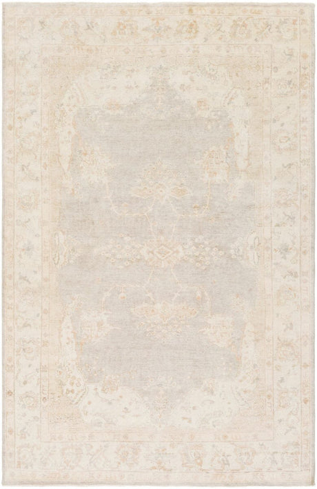 Surya Westchester Wtc-8005 Light Gray / Taupe / Light Gray Rugs.