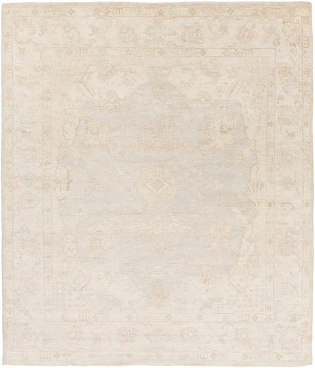 Surya Westchester Wtc-8005 Light Gray / Taupe / Light Gray Rugs.