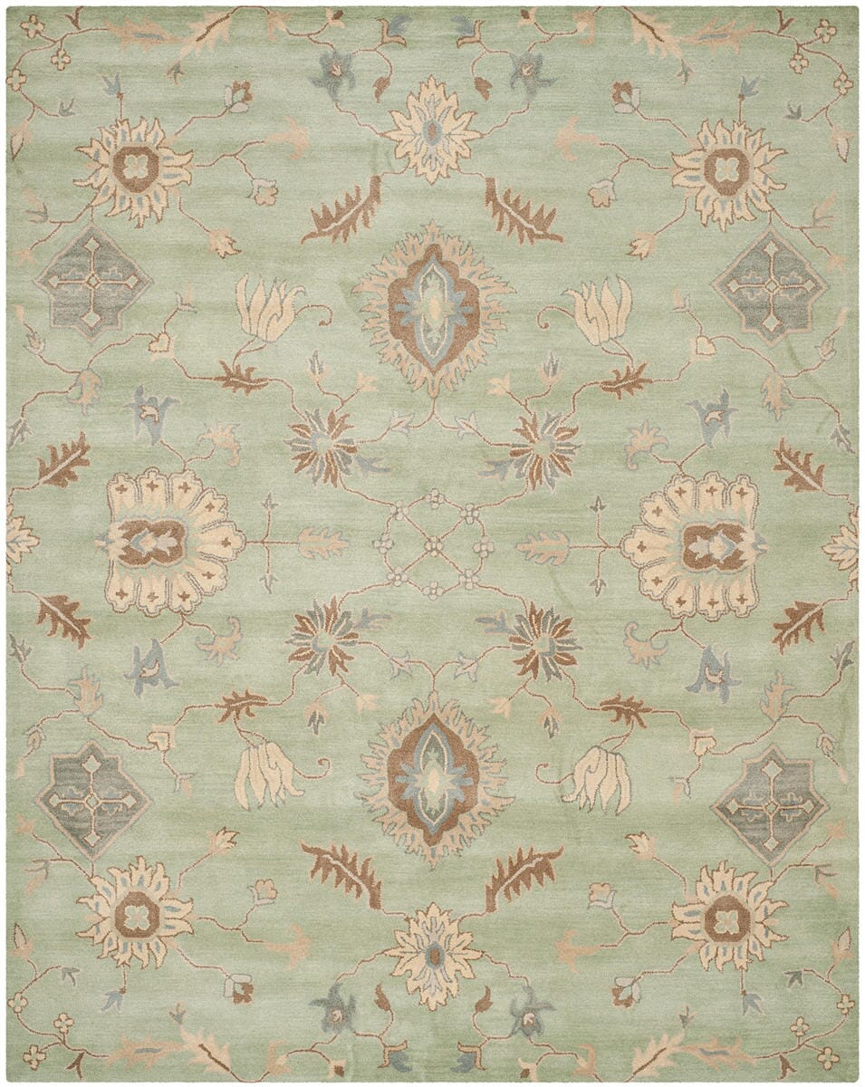 Safavieh Wyndham Wyd202A Light Green Rugs.