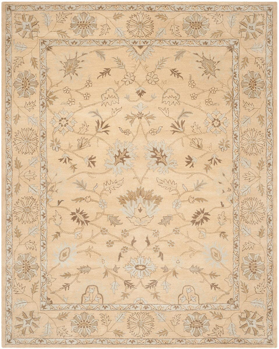 Safavieh Wyndham Wyd205A Light Gold / Light Gold Rugs.