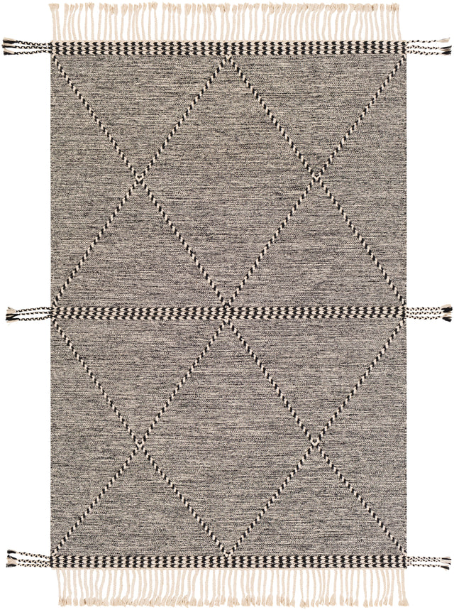 Surya Zanafi Znf-2301 Black, Cream Rugs.