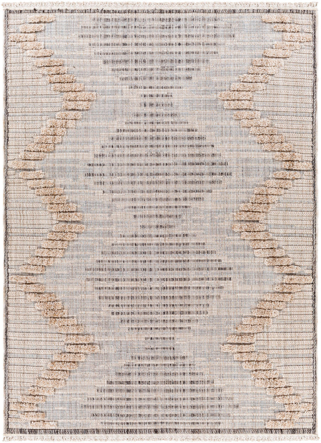 Surya Zaragoza Zrz-2300 Gray Rugs.