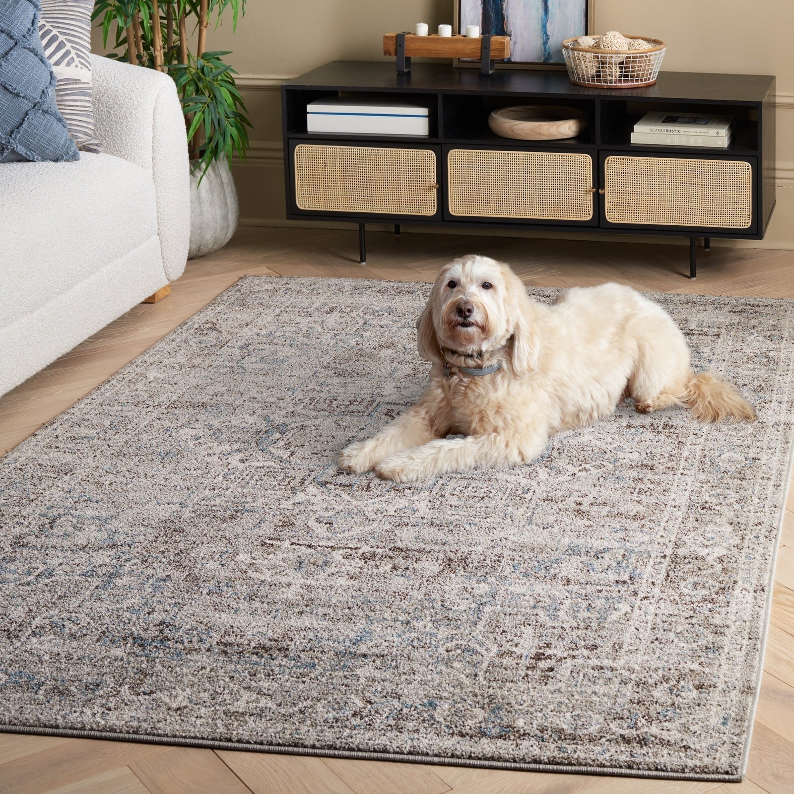 Best Rugs for Pet Owners (That Actually Hold Up) - BuyAreaRugs.com