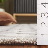 Safavieh Genre 4'-0" x 6'-0" Rug in Ivory / Brown