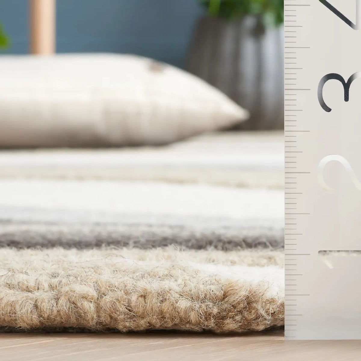 Safavieh Ebony 4'-0" x 6'-0" Rug in Ivory / Grey