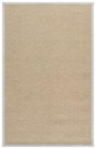 Safavieh Napa Performance Sisal  4'-0" x 6'-0" Rug in Natural / Ivory