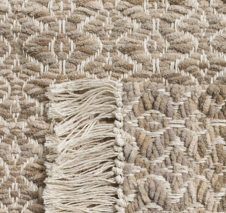 Safavieh Boston 4'-0" x 6'-0" Rug in Beige / Ivory