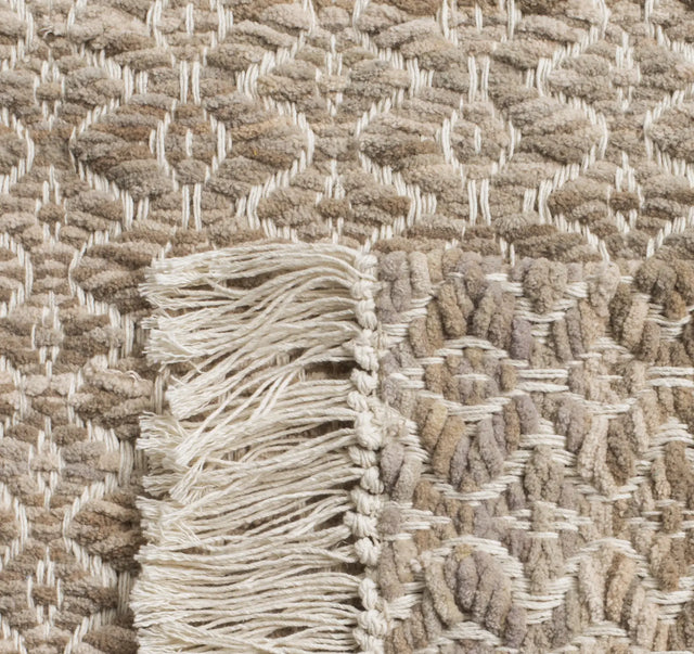 Safavieh Boston 4'-0" x 6'-0" Rug in Beige / Ivory