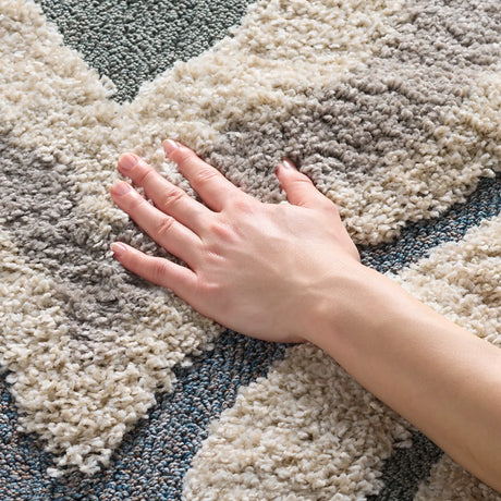 Safavieh Florida Shag 4'-0" x 6'-0" Rug in Cream / Light Blue