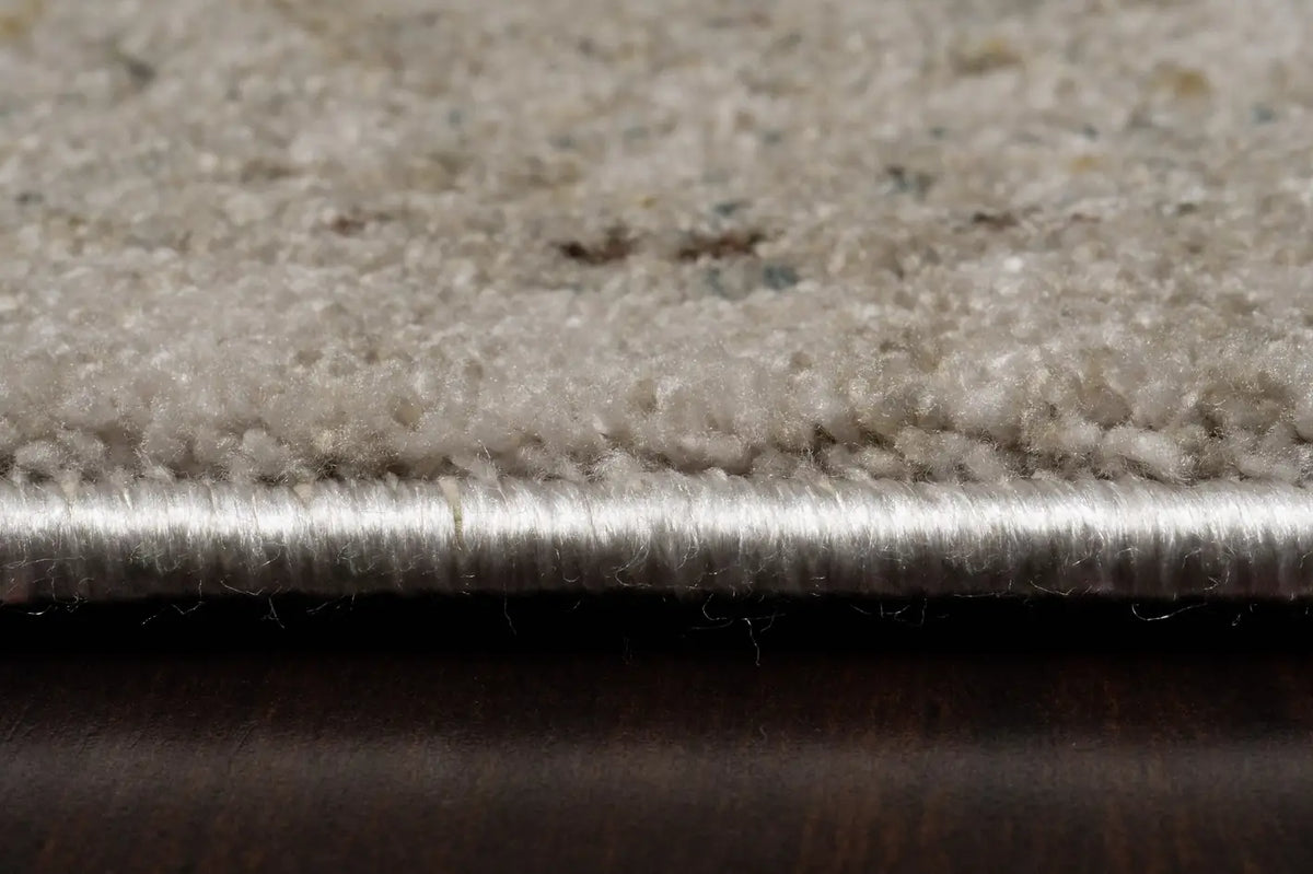 Dynamic Rugs Bloomfield 19606 Power Loomed Traditional Beige/Grey/Cream Rug - Pile