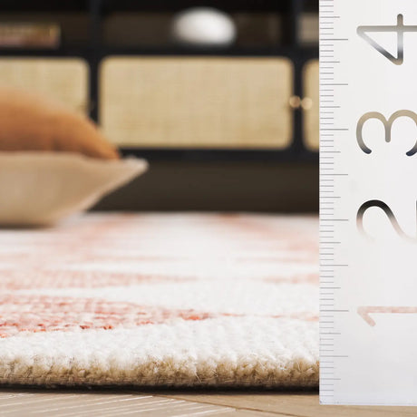 Safavieh Ebony 4'-0" x 6'-0" Rug in Rust / Ivory