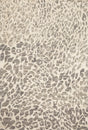 Loloi Masai Mas-02 Grey / Ivory Rugs - main flat