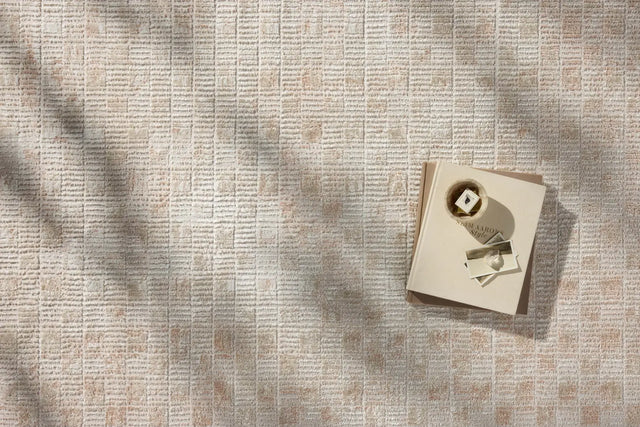 Loloi Townes TOW-06 Beige / Clay Rug - styled aerial 1