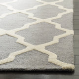 Safavieh Cambridge 5'-0" x 8'-0" Rug in Silver / Ivory